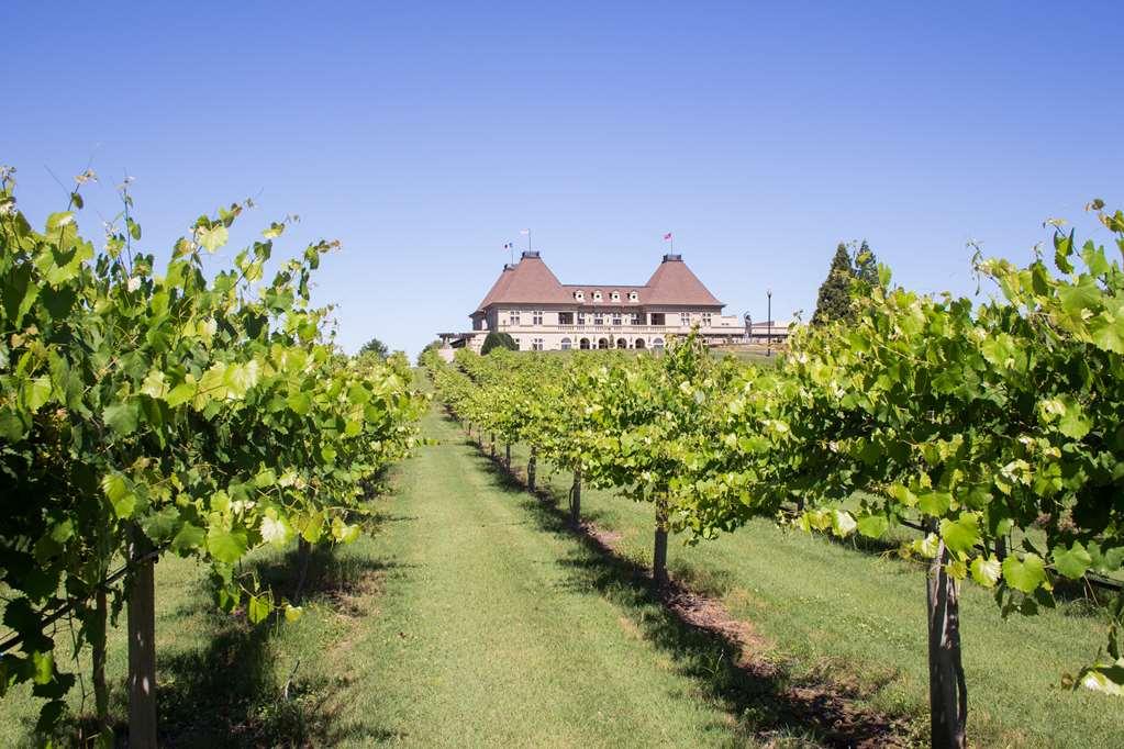 Chateau Elan Winery Braselton Buitenkant foto