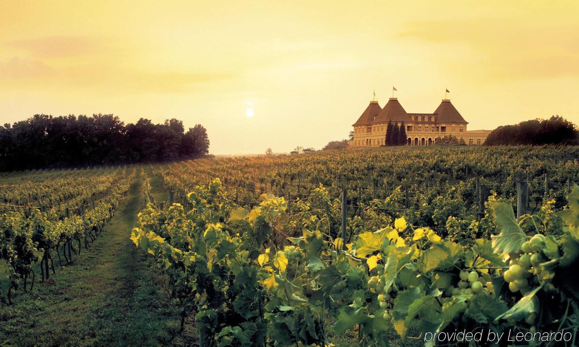 Chateau Elan Winery Braselton Buitenkant foto