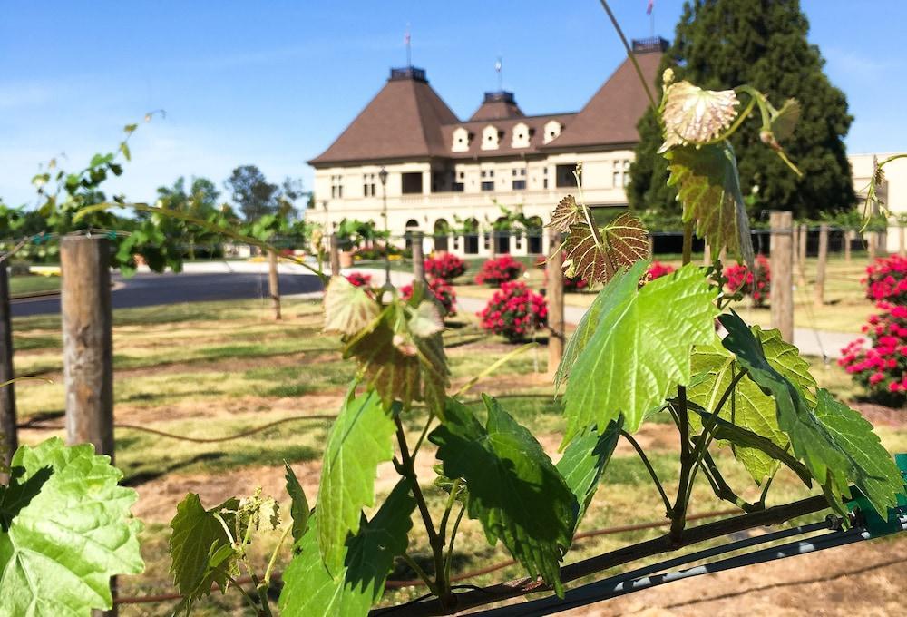 Chateau Elan Winery Braselton Buitenkant foto
